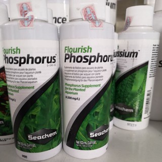 Chăm sóc bể thủy sinh Seachem flourish phosphorus