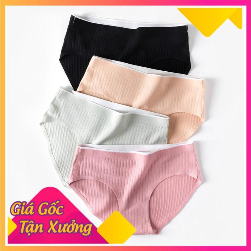 Quần Lót Cotton Gân Tăm Không Đường May Kháng Khuẩn CT-06