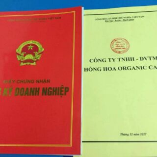 Mộc trà cao cấp hồng hoa