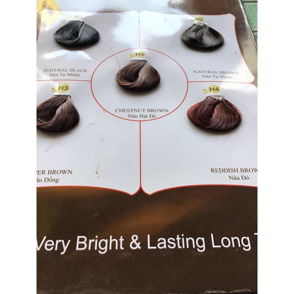 Nhuộm tóc phủ bạc Hello Color 100%  - Rose.shop79