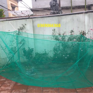 Tráng nuôi cá ốc, ếch, 9,5 x 3 x 1,5 cua cá từ nhỏ tới to, lưới thái lan chuyên cung cấp tráng nuôi ốc ,ếch, cá vvv