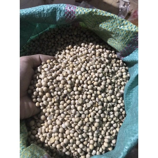 Hạt đậu nành bịch 500gr/ 1kg tuỳ chọn