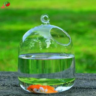 Bình hoa thủy tinh treo tường trang trí nội thất