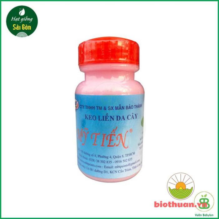 Keo liền da cây sứ - Keo liền sẹo Mỹ Tiến lọ 100g