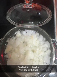 Tuyết Giáp