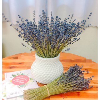 BÌNH CẮM HOA GỐM BÁT TRÀNG TRẮNG CAO CẤP 203