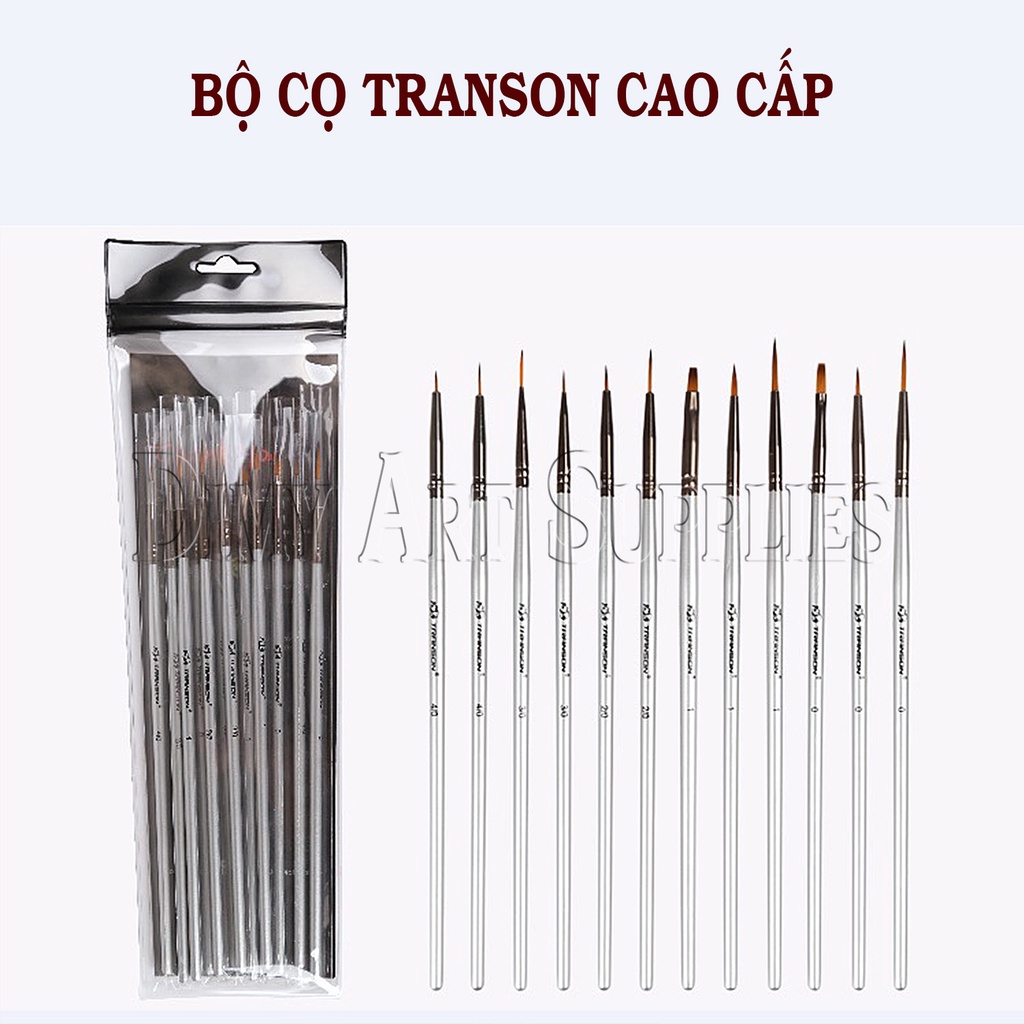 Bộ cọ vẽ acrylic, sơn dầu Transon cao cấp 12 cây