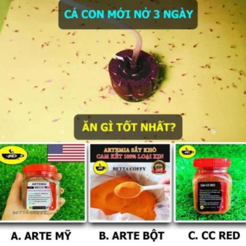 Phụ kiện Trang Trí Hồ Cá 📺 ĐỢT BETTA YOUTUBE 321 60k