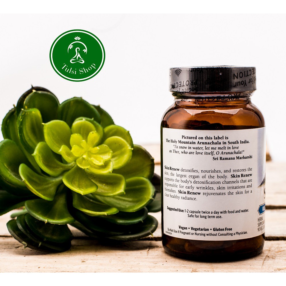 Viên uống Skin Renew hỗ trợ phục hồi - trẻ hóa làn da Organic India 90 viên | BigBuy360 - bigbuy360.vn