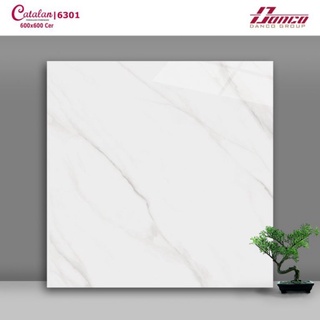 Gạch men cao cấp 60x60 Catalan 6152
