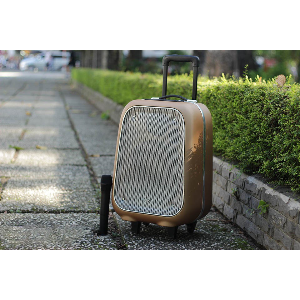 Loa Kéo SoundMax M6