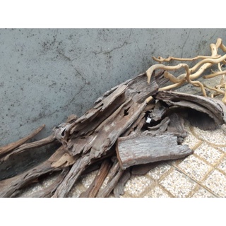 Lũa Thủy sinh - Lũa san đá cành giá rẻ