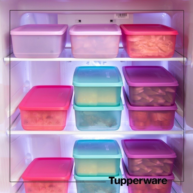 Bộ hộp trữ đông, trữ mát Tupperware Freezermate 650ml và Pak N Stor 1.4L (10 hộp) - Hàng chính hãng - Bảo hành trọn đời