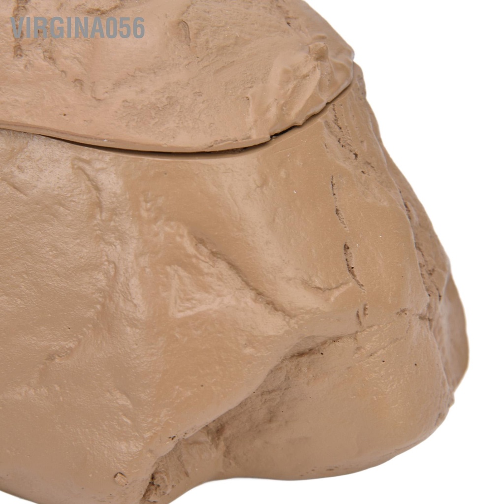 Virgina056 Nhà trú ẩn bò sát nhựa Hồ cá Hang động Tự làm bể nhân tạo Cảnh quan cảnh