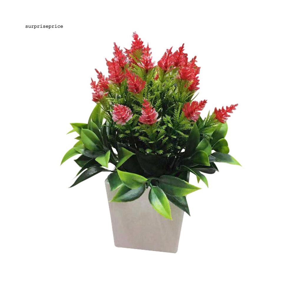 Set chậu và cây nhân tạo xinh xắn trang trí sân vườn nhà cửa