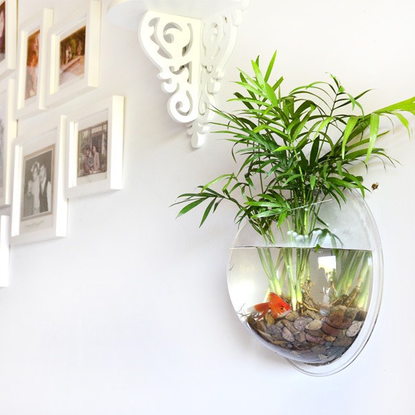 Bể Cá Treo Tường Đa Năng Chậu Cây Thủy Sinh Bình Hoa Gắn Tường Chất Liệu Acrylic
