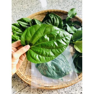 100gr Lá trầu không tươi