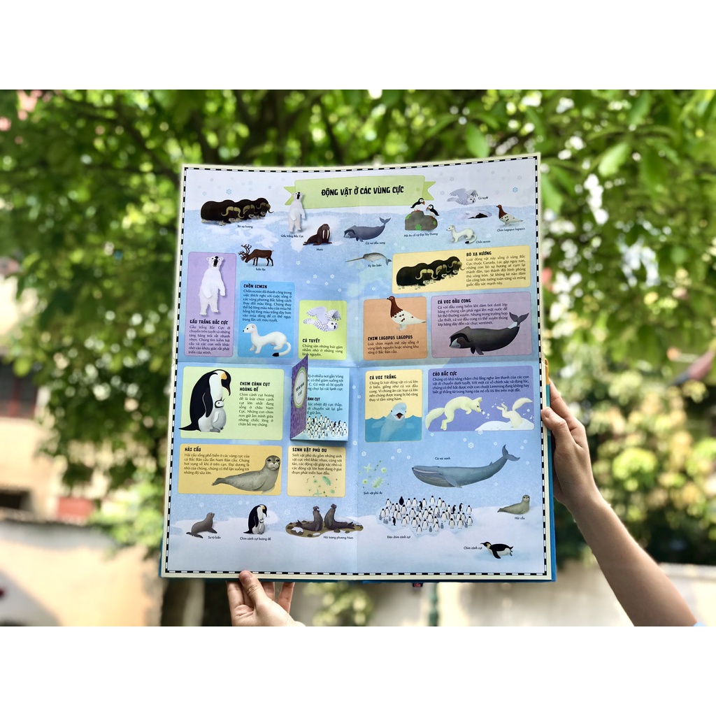 SÁCH - Atlas động vật