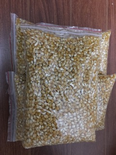 Ngô hạt - nổ bỏng