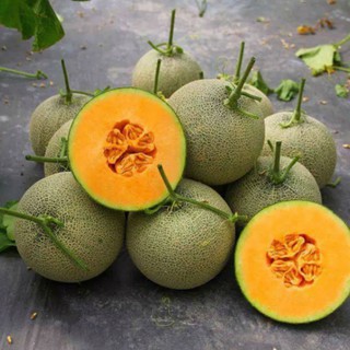 0,5g Hạt giống Dưa Lưới F1 