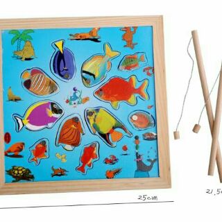 Bộ câu cá đại dương 2 cần