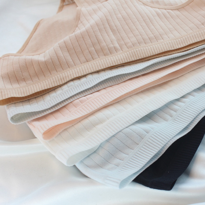 Quần lót cute nữ cotton trơn kẻ gân tăm Malie 310