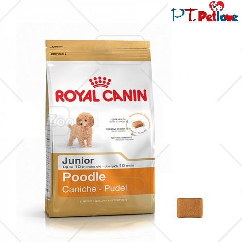 Thức ăn cho chó Royal Canin Poodle Junior 500g - ptpetlove