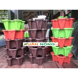 COMBO 5 CHẬU TRỒNG RAU 5 CÁNH