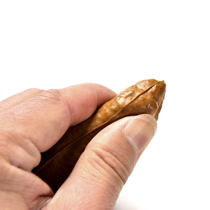 Đồ Chơi Shits Giả Vui Nhộn Cổ Điển Thích Hợp Làm Quà Tặng Cho Nam Và Nữ