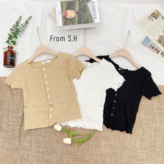 Áo thun xốp nhăn nữ croptop 3 màu cực xinh🔥keokeo1991
