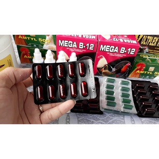 Mega B12 Thuốc Bổ Gà Đá Tăng Nước Máu Nhanh Tới Đá Lẻ 1 vỉ