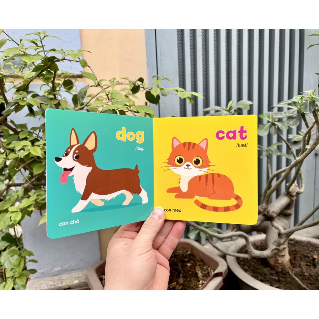 Sách - Bộ Bìa Cứng Thư Viện Hình Ảnh Đầu Tiên Cho Bé Về Thế Giới Xung Quanh Baby' First Picture Book (8 Cuốn)