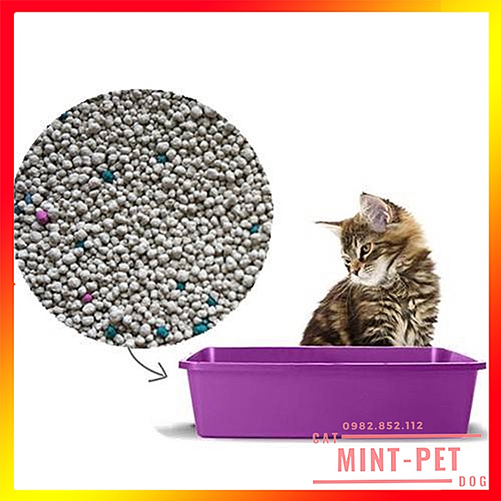 Cát Vệ Sinh Cho Mèo Champion Ruby Dạng Hạt Betonite - Túi 10L #MintPet