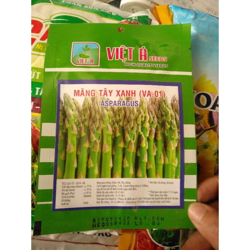 Hạt măng tây f1
