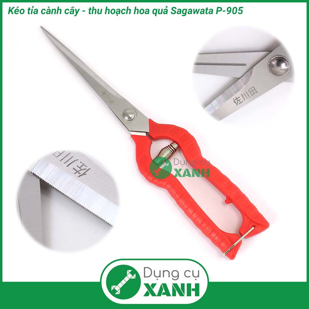 Kéo cắt tỉa cành cây thu hoạch hoa quả Sagawata P-905