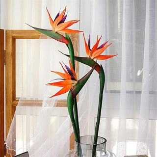 Hoa Giả 🌺 Cành Hoa Thiên Điểu Cao Su To