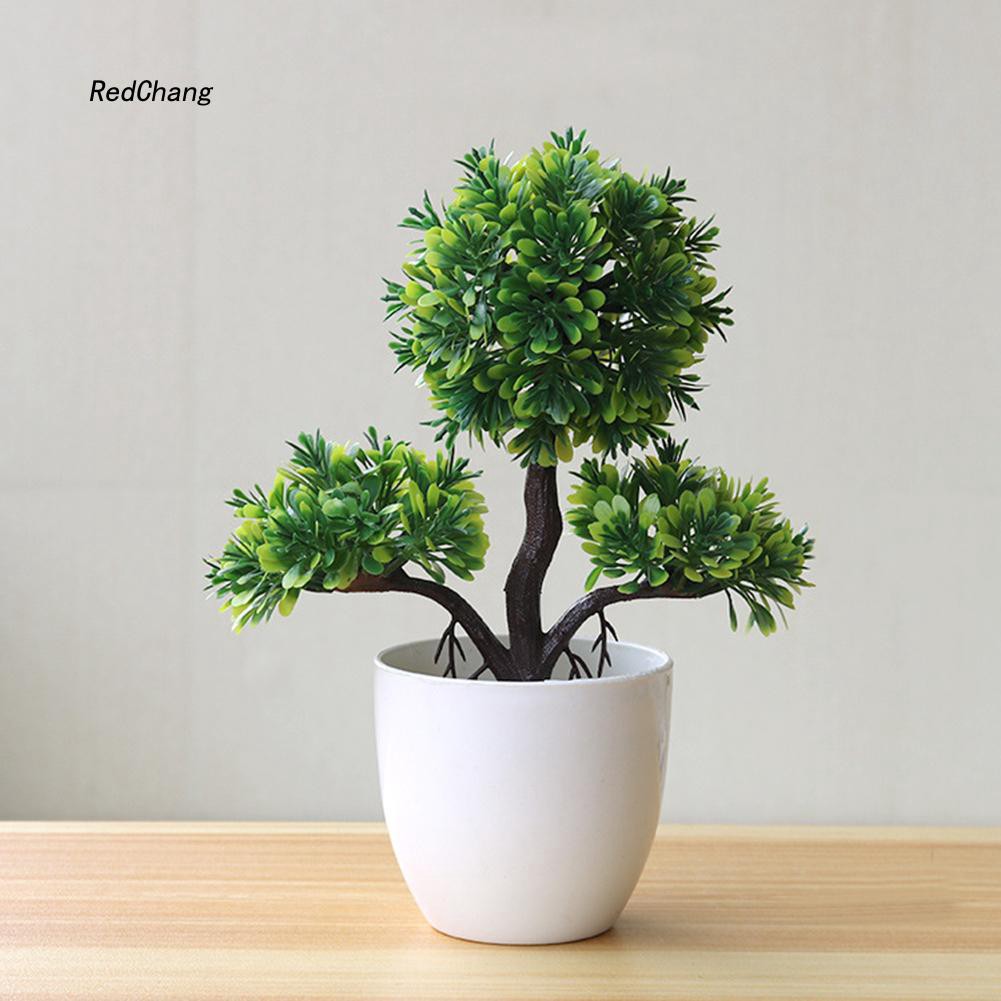 Chậu Cây Bonsai Giả Trang Trí Bàn Làm Việc