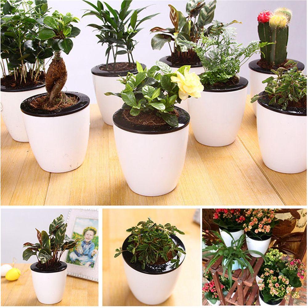 Chậu Hoa Hình Tròn Bằng Nhựa Resin Tự Tưới Nước Để Bàn Trang Trí Văn Phòng