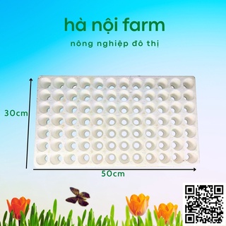 Khay ươm hạt 84 lỗ bằng xốp