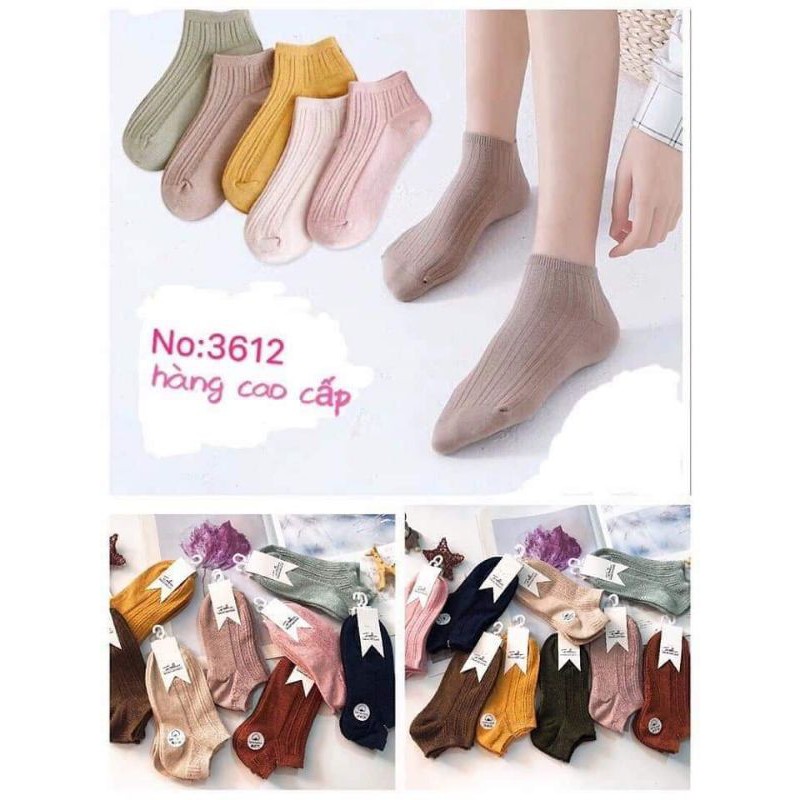 Combo 10 đôi tất nữ cổ ngắn