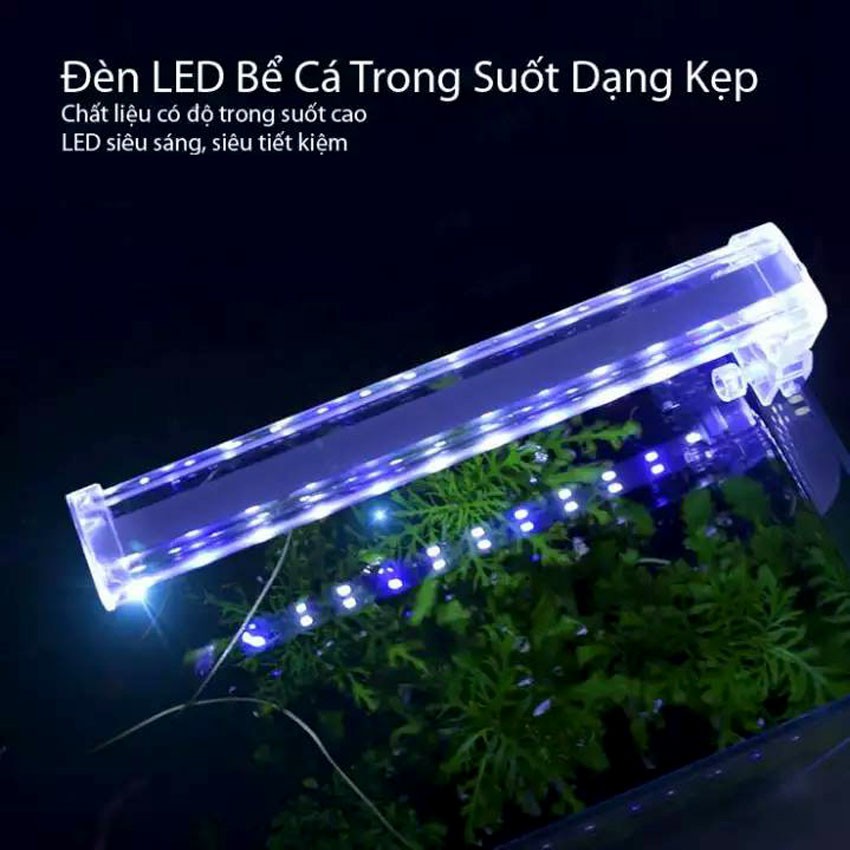 Đèn Led kẹp bể cá mini 15cm - 25cm XILONG D10 công suất 4W, dài 14.5cm, ánh sáng trắng xanh cao cấp