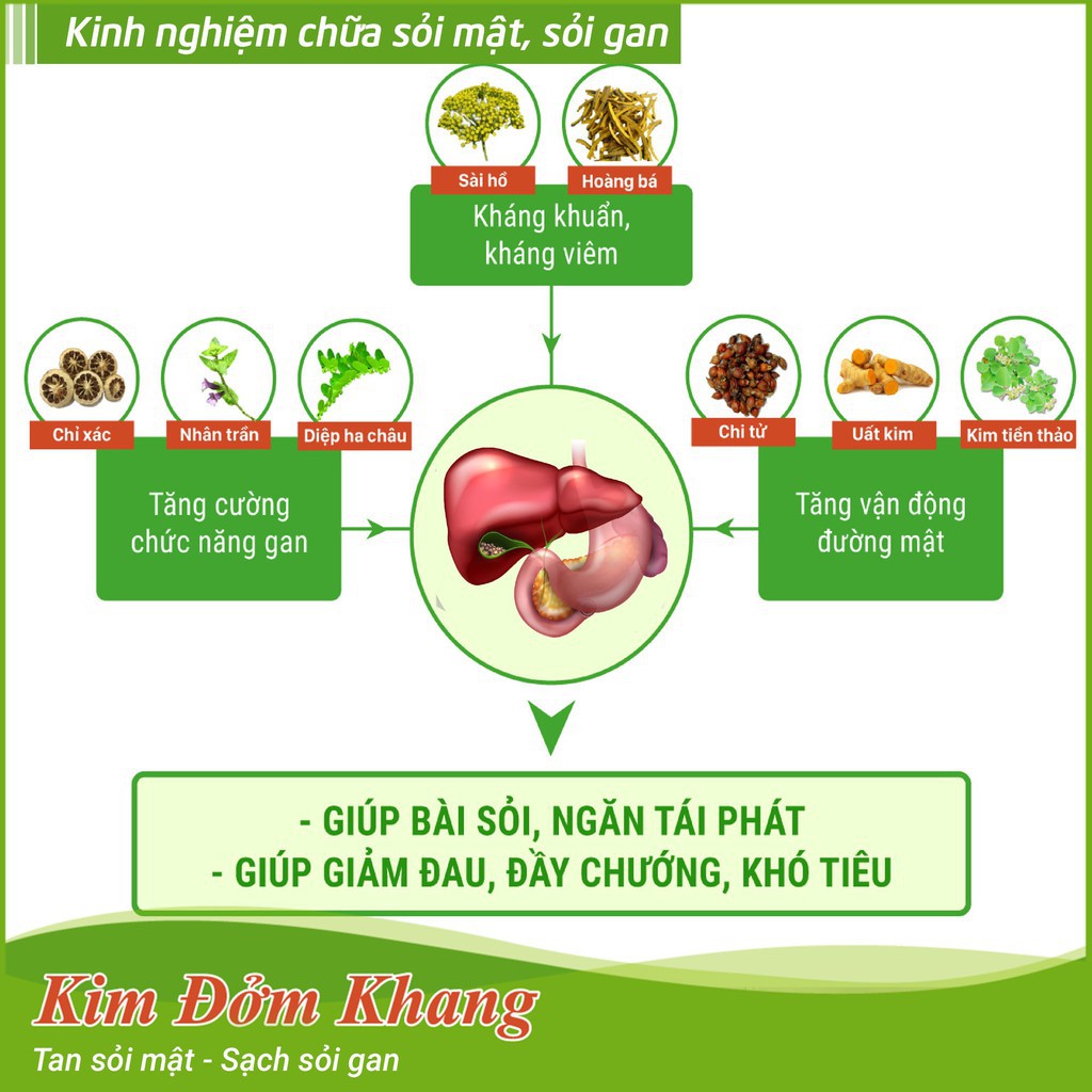Kim Đởm Khang - Hỗ trợ Bài Mòn Sỏi Mật, Sỏi Đường Mật, Tăng Cường Chức Năng Gan Mật