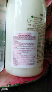 Thuốc uốn tóc Olive Obsidian cặp 410ml/530ml (uốn lạnh cao cấp)