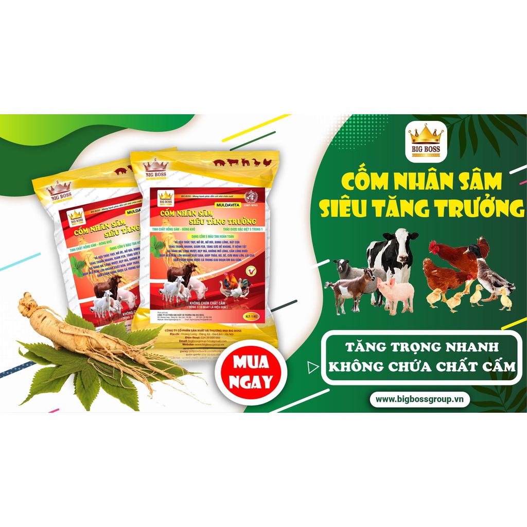Cốm nhân sâm siêu tăng trưởng, men tiêu hóa kích thích đường ruột hấp thụ, tăng sức đề kháng cho vật nuôi túi 1kg