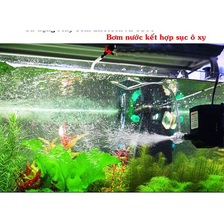 Máy bơm nước dành cho bể cá, bơm nước....loại LifeTech AP 1300