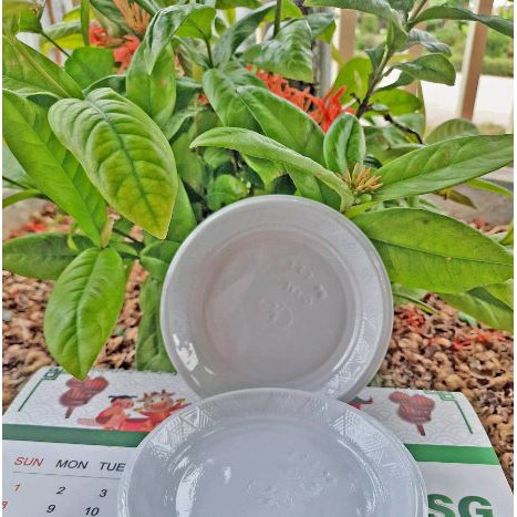 Phụ Kiện Trang Trí Bánh Sinh Nhật Bánh Kem - 1000 đĩa nhựa ăn bánh sinh nhật