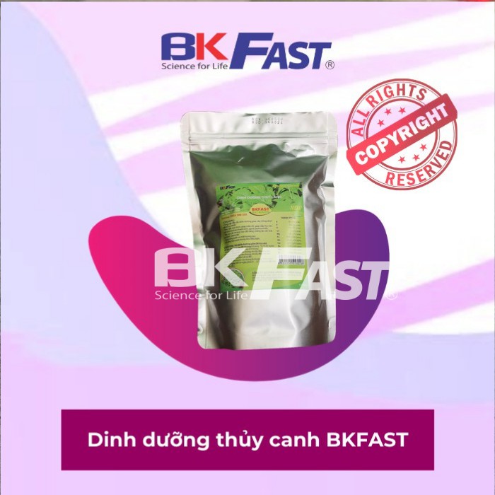 DUNG DỊCH DINH DƯỠNG THỦY CANH TĨNH BKFAST - ĐH Bách Khoa Hà Nội