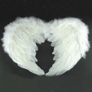 Đôi cánh cosplay thiên thần và ác quỷ_miễn phí shjp Mã Sản Phẩm UF5852