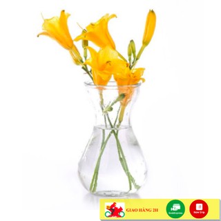Lọ Hoa Thủy Tinh, Bình Bông Thuỷ Tinh Miệng Loe | MAY Decor | Để Cắm Hoa, Trồng Cây
