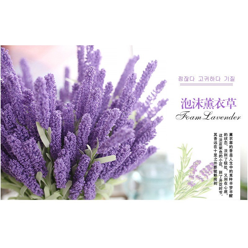 Hoa lavender (oải hương)